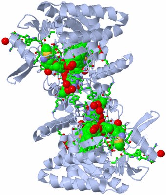 Image Biol. Unit 1 - sites