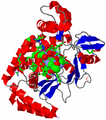 Image Asym. Unit - sites