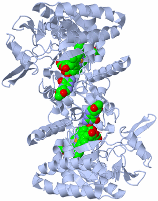 Image Biological Unit 1