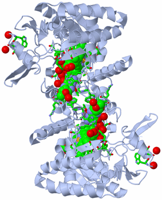 Image Biol. Unit 1 - sites