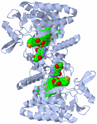 Image Biological Unit 1