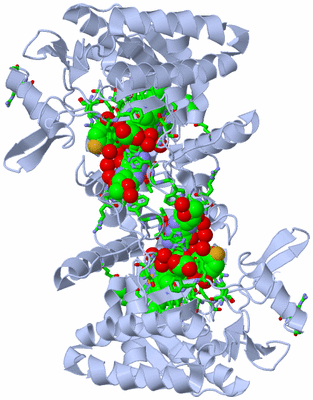 Image Biol. Unit 1 - sites