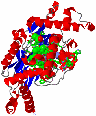 Image Asym. Unit - sites