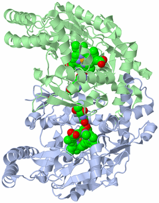 Image Asym./Biol. Unit