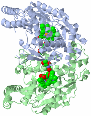 Image Asym./Biol. Unit