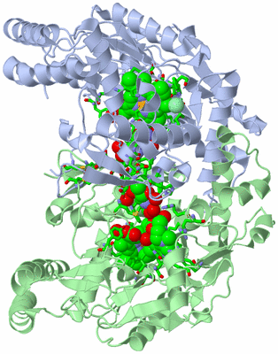 Image Asym./Biol. Unit - sites