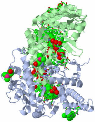 Image Asym./Biol. Unit - sites