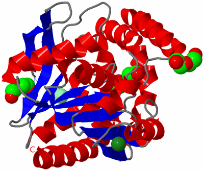 Image Asym./Biol. Unit