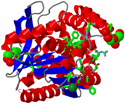 Image Asym./Biol. Unit - sites