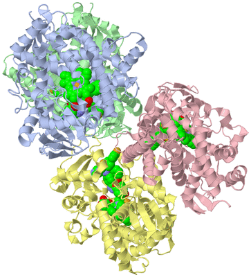 Image Asym./Biol. Unit