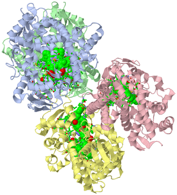 Image Asym./Biol. Unit - sites