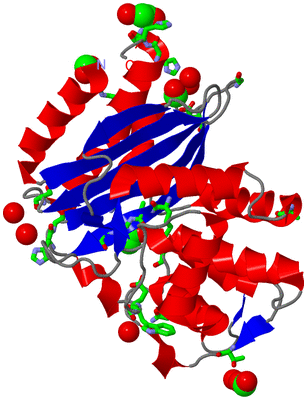 Image Asym./Biol. Unit - sites