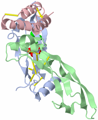 Image Biological Unit 1