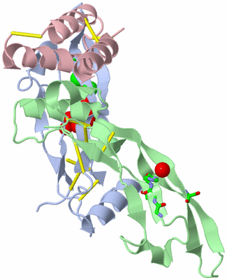 Image Biol. Unit 1 - sites