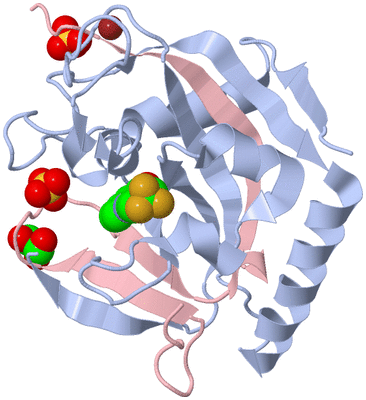 Image Biological Unit 1