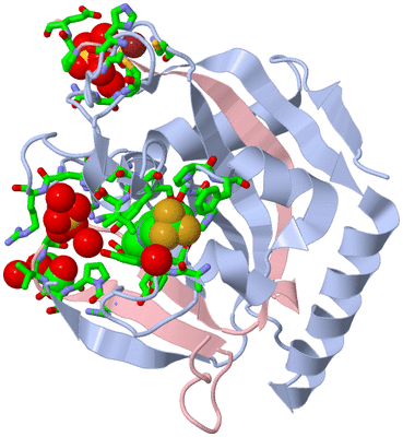 Image Biol. Unit 1 - sites