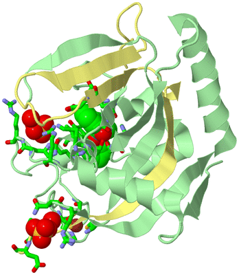 Image Biol. Unit 1 - sites