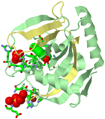 Image Biol. Unit 1 - sites