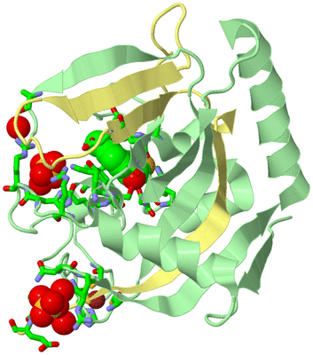 Image Biol. Unit 1 - sites