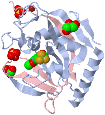 Image Biological Unit 2