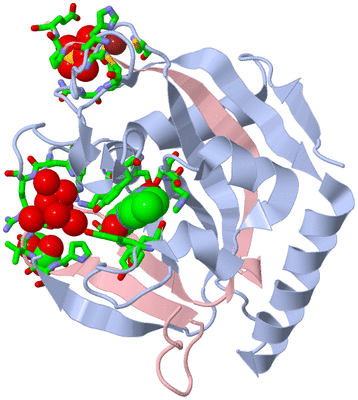 Image Biol. Unit 1 - sites