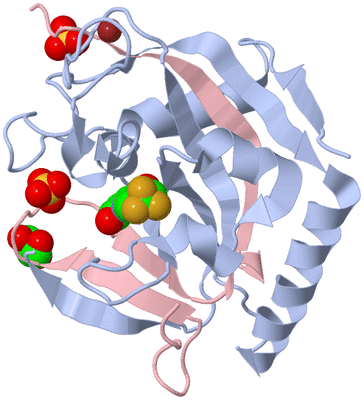 Image Biological Unit 2