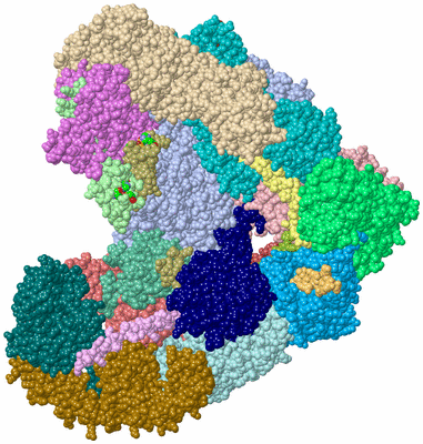 Image Asym./Biol. Unit - sites