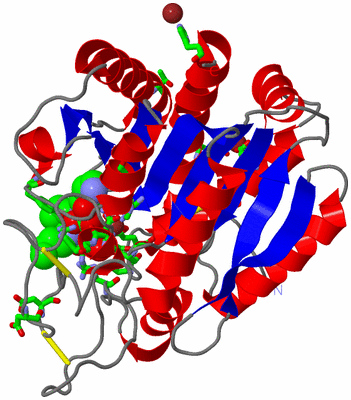 Image Asym./Biol. Unit - sites