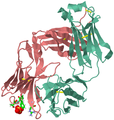 Image Biol. Unit 1 - sites