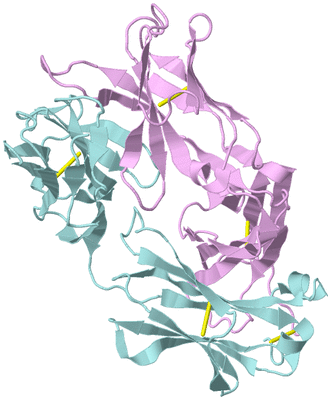 Image Biological Unit 3