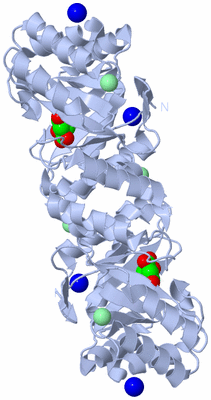 Image Biological Unit 1