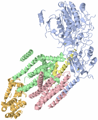 Image Asym./Biol. Unit