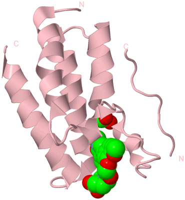 Image Biological Unit 3