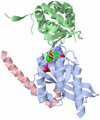 Image Biological Unit 1