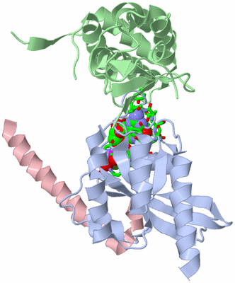 Image Biol. Unit 1 - sites