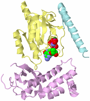 Image Biological Unit 2