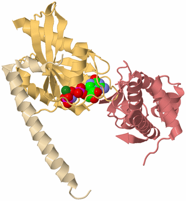 Image Biological Unit 3