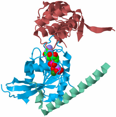 Image Biological Unit 4