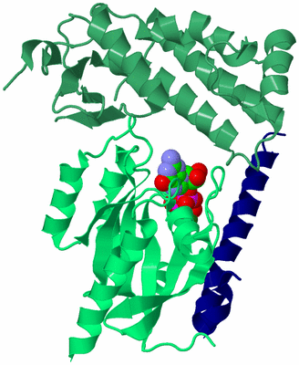 Image Biological Unit 6