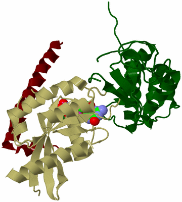 Image Biological Unit 7