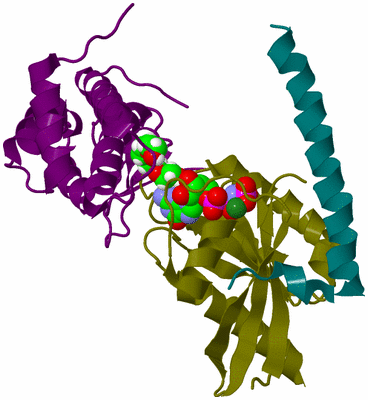 Image Biological Unit 8