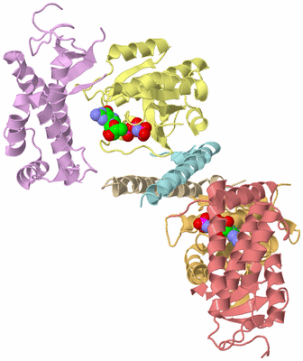 Image Biological Unit 1