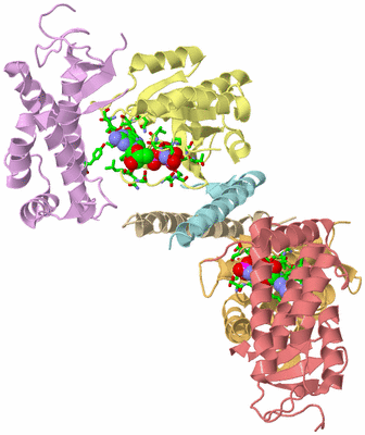 Image Biol. Unit 1 - sites