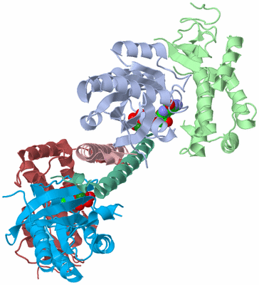 Image Biological Unit 3