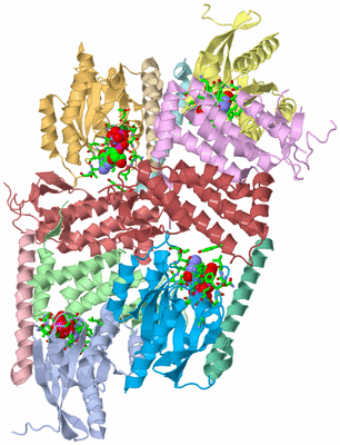 Image Asym. Unit - sites