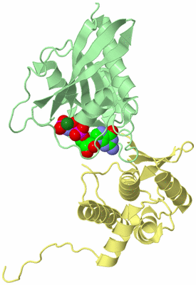 Image Biological Unit 2