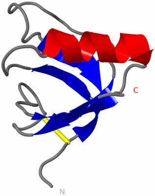 Image NMR Structure - model 1