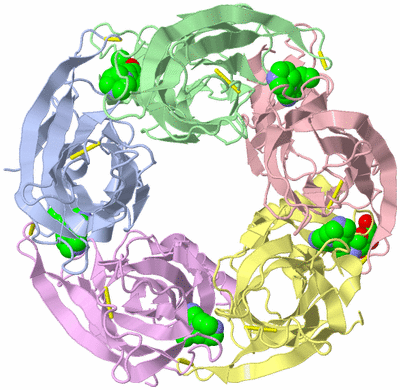 Image Asym./Biol. Unit