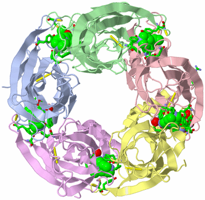 Image Asym./Biol. Unit - sites