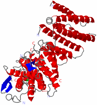 Image Asym./Biol. Unit